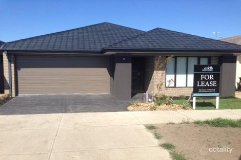 61 Evergreen Cres, Craigieburn, VIC 3064