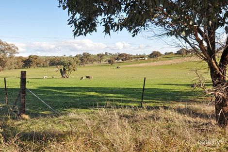 Property photo of LOT 187 Tathra Drive Junee NSW 2663
