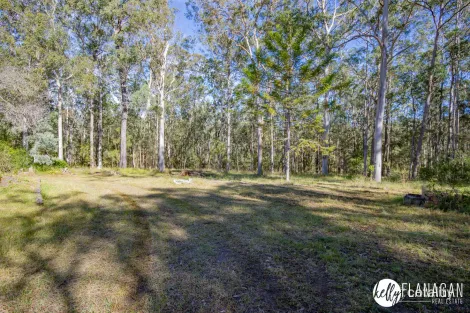 Property photo of 14 Bottle Tree Lane Dondingalong NSW 2440