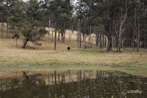 Property photo of 128A Daisy Mount Road Tenterfield NSW 2372