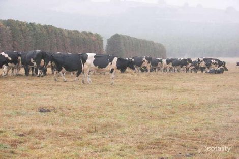 950 Boorook Rd, Cooriemungle, VIC 3268