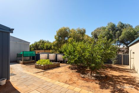 Property photo of 80 Trenerry Avenue Loxton SA 5333