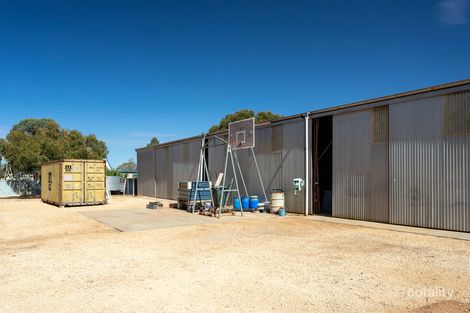 Property photo of 80 Trenerry Avenue Loxton SA 5333