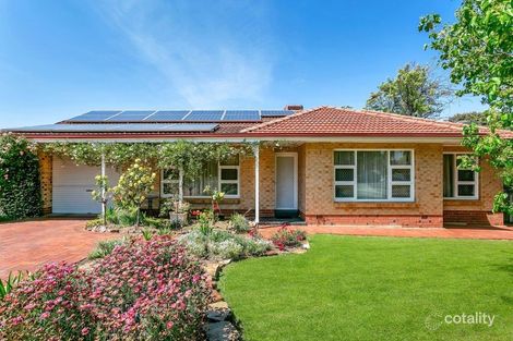 Property photo of 8 Somerfield Avenue Reynella SA 5161