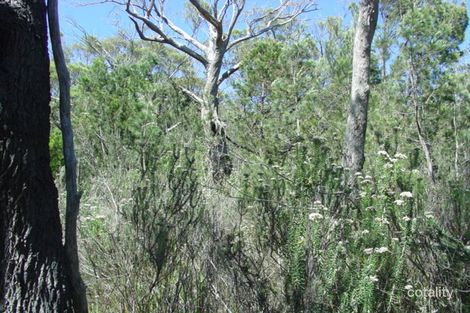 Property photo of 27 Rosedale Road Bicheno TAS 7215