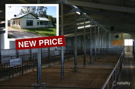 40 Roberts Lane, Lake Boga, VIC 3584