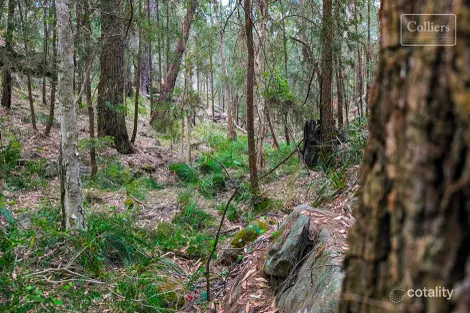 Property photo of 110 Lisa Road Wilton NSW 2571