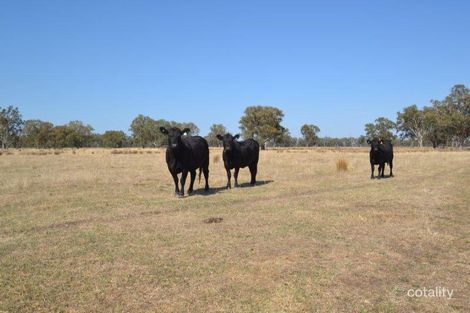 1622 Wangaratta-Whitfield Rd, Docker, VIC 3678