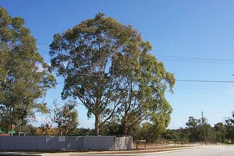 50-56 Bursaria Cres, Ferndale, WA 6148