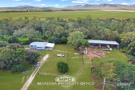 3644 Mareeba-Dimbulah Rd, Mutchilba, QLD 4872