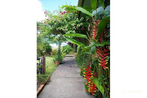 Property photo of 16 Great North Road Frederickton NSW 2440