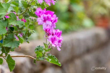 Property photo of 6/35 Macdonald Street Lakemba NSW 2195