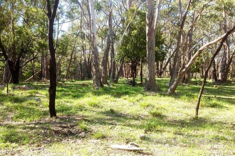 Property photo of 115 Sheoak Road Belair SA 5052