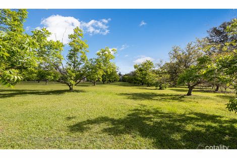 Property photo of 300 Scott Lane North Maclean QLD 4280