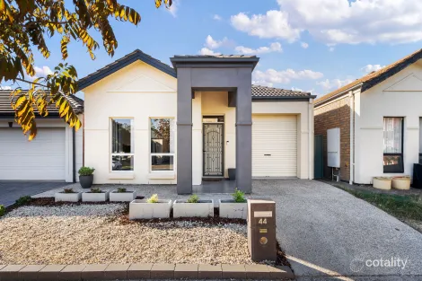 Property photo of 44 Mallard Crescent Mawson Lakes SA 5095