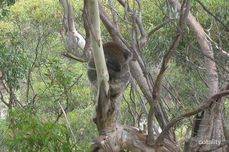 Property photo of 10 Ralph Avenue Belair SA 5052