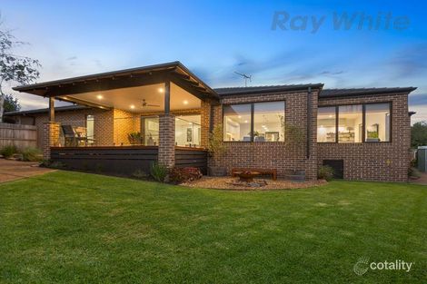 Property photo of 6 Morris Road McCrae VIC 3938