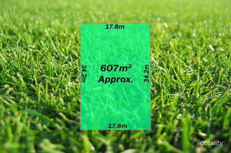 146 Lake View Bvd, Keysborough, VIC 3173