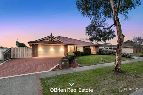 Property photo of 19 Charles Conder Place Berwick VIC 3806