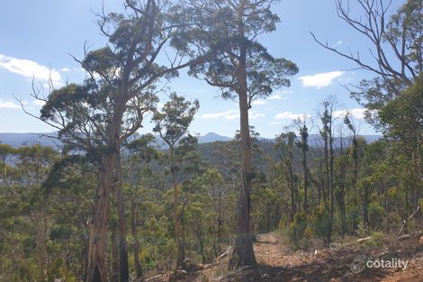 Lot 1 Halls Track Rd, Pelverata, TAS 7150