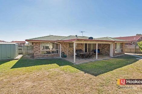 Property photo of 33 Conebush Circuit Ormeau QLD 4208