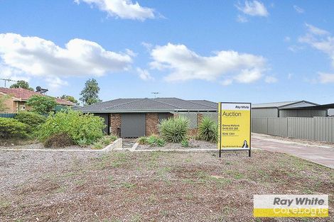 9 coquina close heathridge wa sale