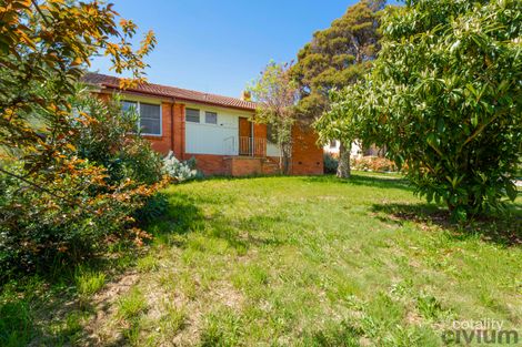 Property photo of 63 McNicoll Street Hughes ACT 2605