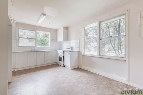 Property photo of 63 McNicoll Street Hughes ACT 2605