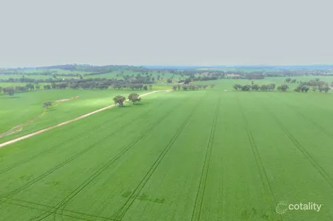 406 Crawleys Rd, Henty, NSW 2658