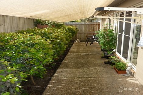 4/23 Baden Powell St, Maroochydore, QLD 4558