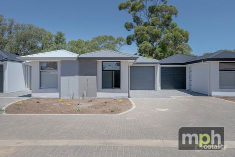 6/33 Drury St, Willaston, SA 5118