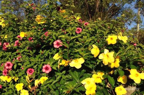 Property photo of 19 Eagle Drive Ilarwill NSW 2463