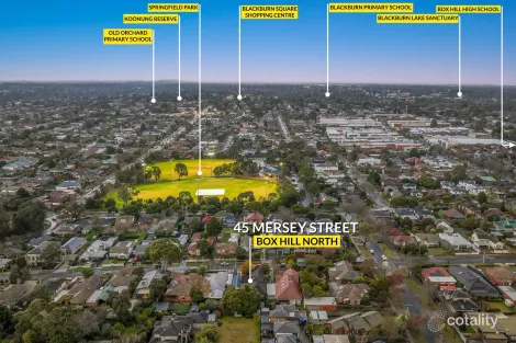 Property photo of 45 Mersey Street Box Hill North VIC 3129
