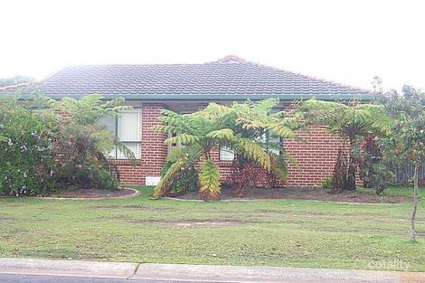 6 Edward Ave, Pottsville, NSW 2489