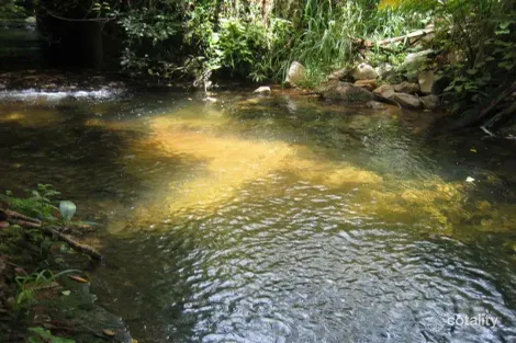 Property photo of 166 Bulgun Road Bulgun QLD 4854