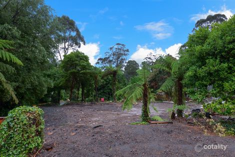 6 Adrienne Ct, Millgrove, VIC 3799