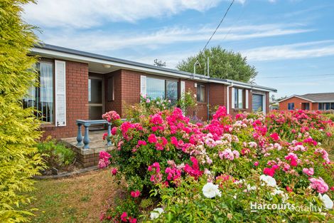Property photo of 8 Robert Street Smithton TAS 7330