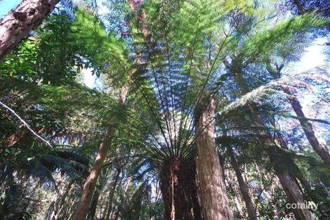 Property photo of 2200 Meeniyan-Promontory Road Fish Creek VIC 3959