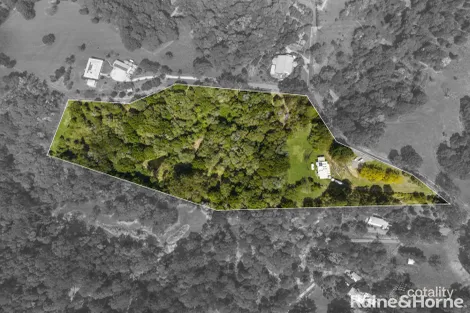 Property photo of 31 Crows Ash Lane Black Mountain QLD 4563