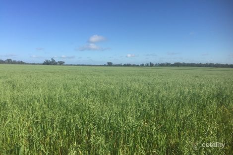 546 Quades Lane, Ariah Park, NSW 2665