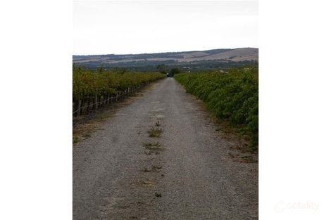Property photo of 3601 Main South Road Sellicks Hill SA 5174