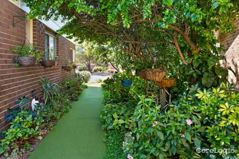 Property photo of 56 Windermere Avenue Northmead NSW 2152