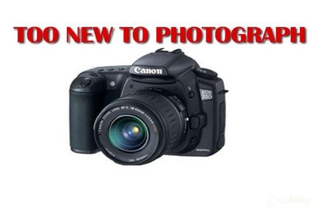 1a Boonooloo Ct, Kalamunda, WA 6076