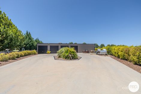 Property photo of 30 Wilga Road Gol Gol NSW 2738