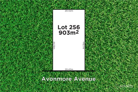 Property photo of 44 Avonmore Avenue Trinity Gardens SA 5068