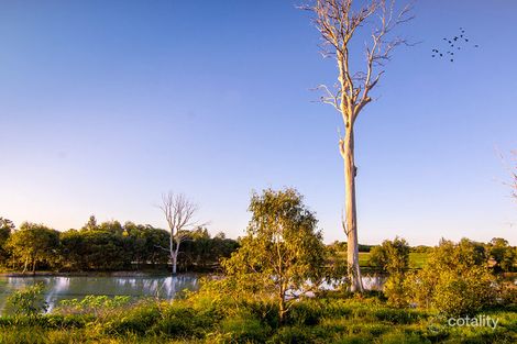 Property photo of 264 Greenview Circuit Arundel QLD 4214