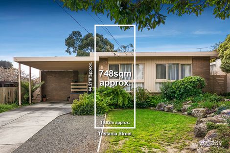 Property photo of 81 Tristania Street Doncaster East VIC 3109