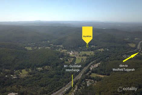 79 Palmdale Rd, Palmdale, NSW 2258