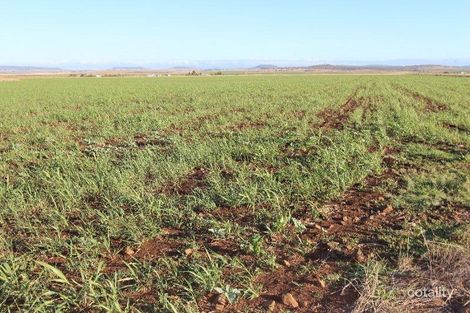 5636 Gatton Clifton Rd, Clifton, QLD 4361