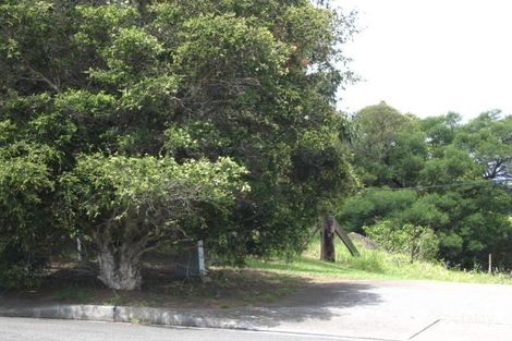 Cameron Pl, Figtree, NSW 2525